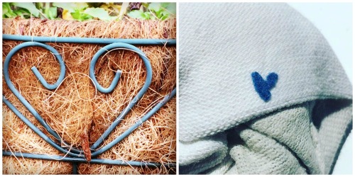I took both of these pictures. I found the blue fuzz on my sock just like this -- no arranging from me. 