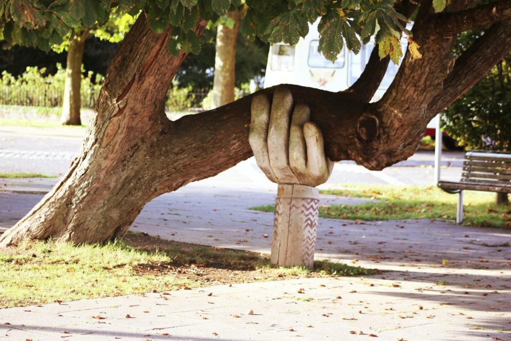 hand holding up a tree