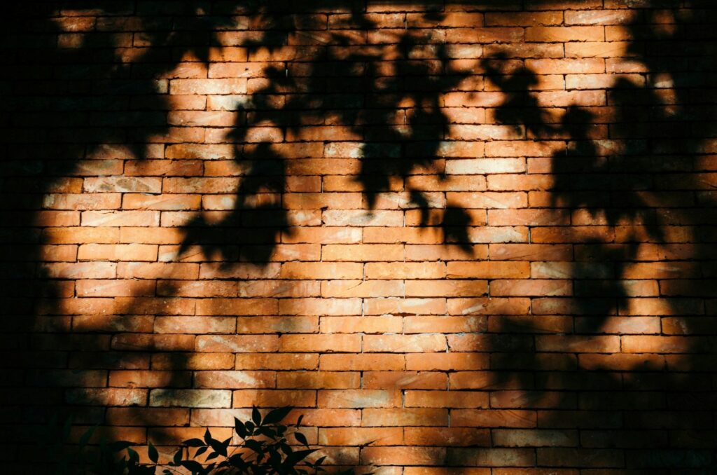 light and shadow