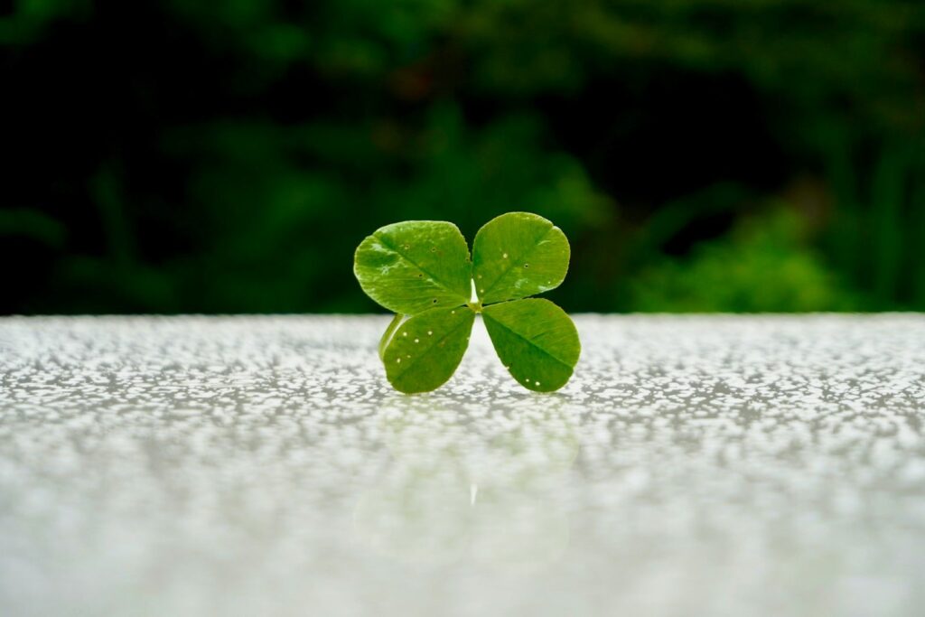 four leaf clover