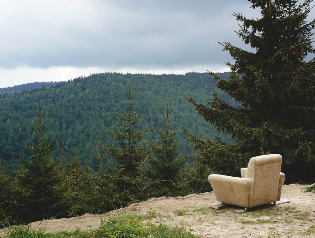 sitting in the woods
